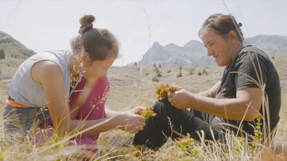 Srpsko-crnogorski film „Planina“ premijerno u takmičarskom programu festivala Sandens 2026