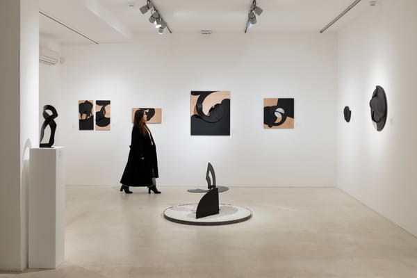 Program Dana državnosti i februarska javna vođenja u Muzeju savremene umetnosti