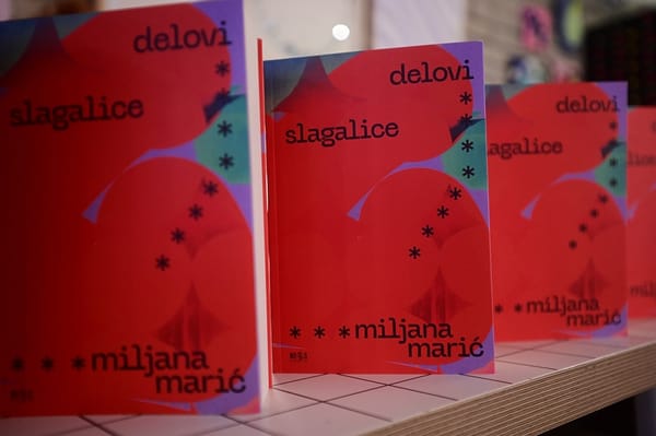 Predstavljen roman Miljane Marić "Delovi slagalice"